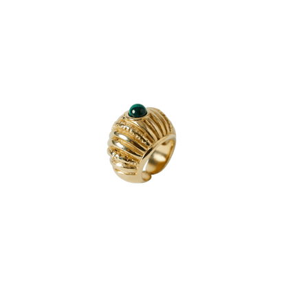 Reef Ring - Hosted by Kelly Gaudreau
