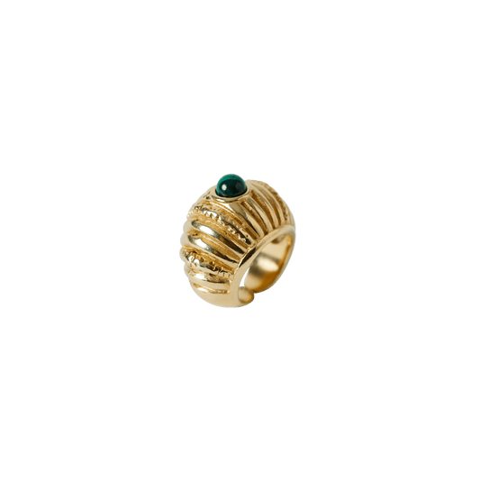 Reef Ring - Hosted by Kelly Gaudreau