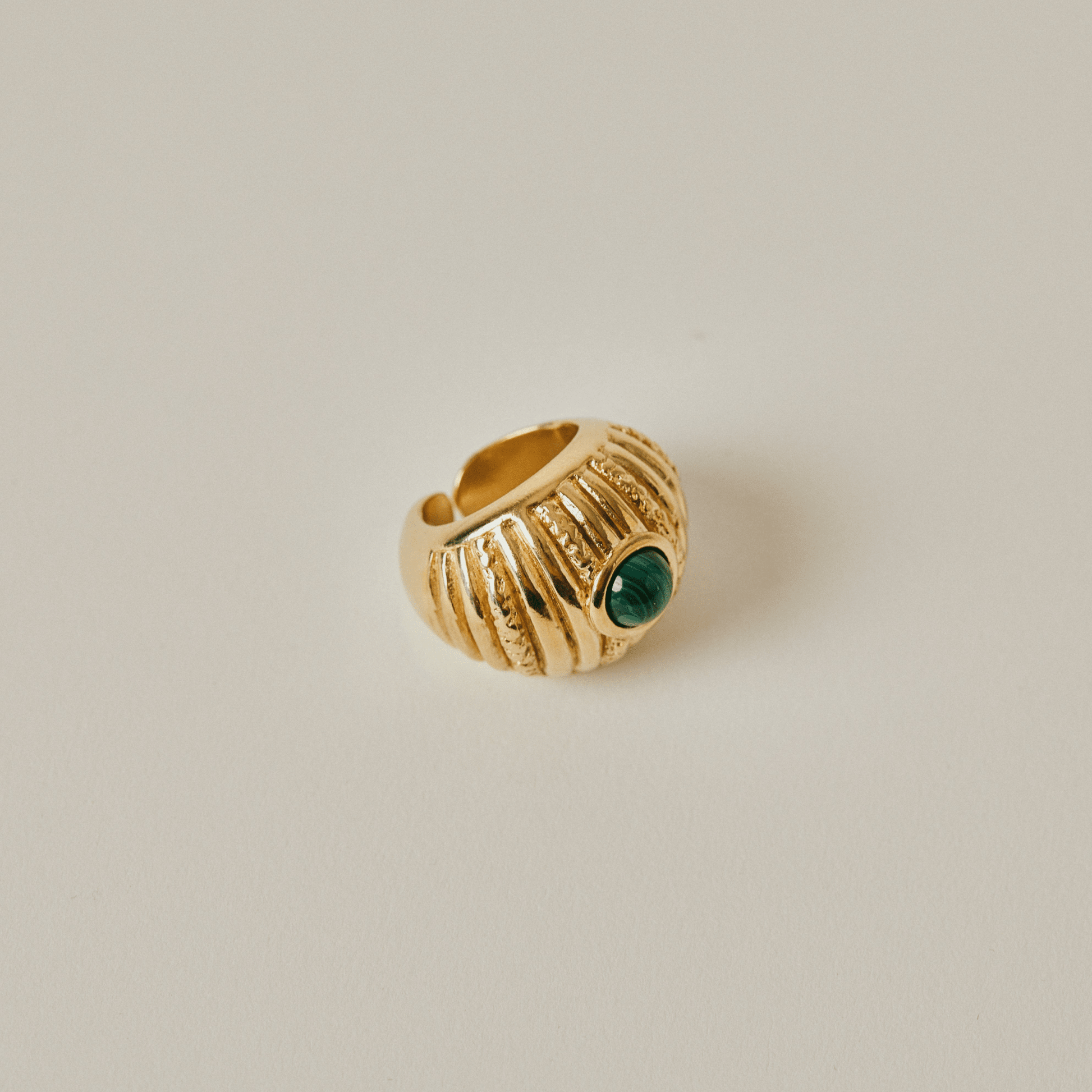 Reef Ring - Hosted by Kelly Gaudreau
