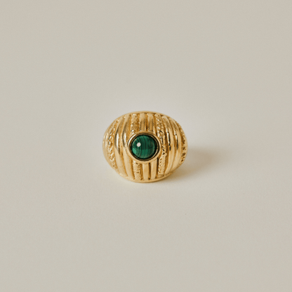 Reef Ring - Hosted by Kelly Gaudreau