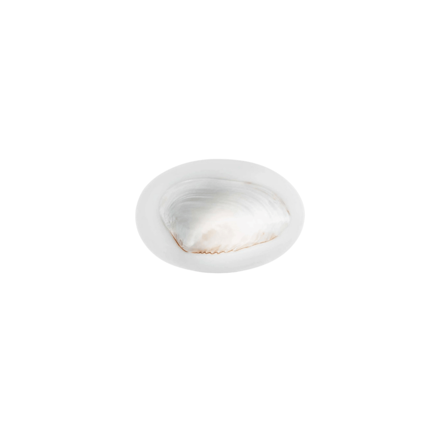 Round Caviar Dish in Ivory - Hosted by Kelly Gaudreau