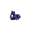 Cobalt Blue