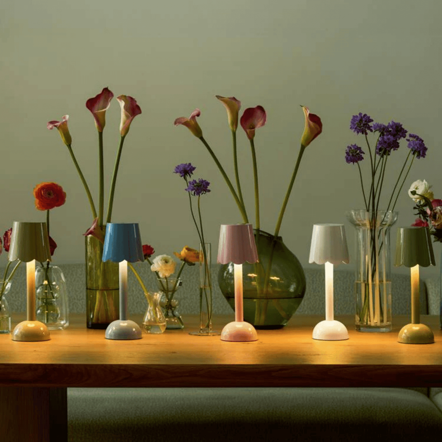 Scalloped LED Lamp - Hosted by Kelly Gaudreau