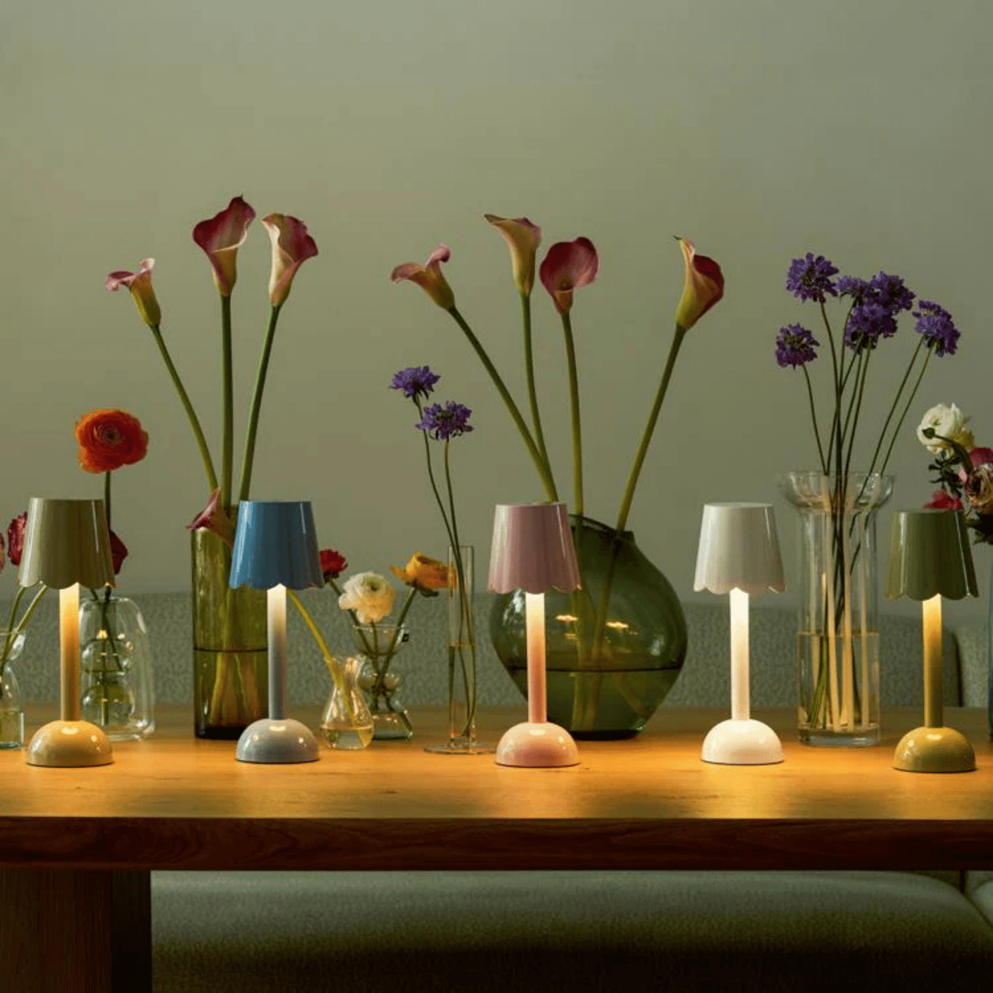 Scalloped LED Lamp - Hosted by Kelly Gaudreau