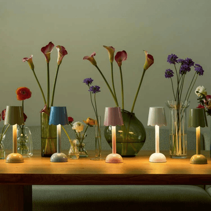 Scalloped LED Lamp - Hosted by Kelly Gaudreau