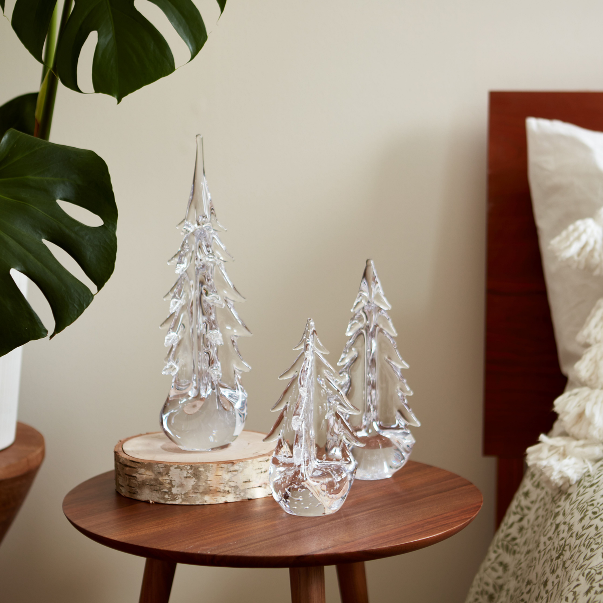 Five Sided Evergreen