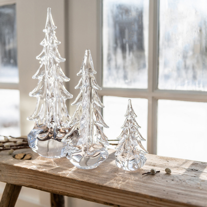 Five Sided Evergreen