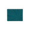 Blue Canard