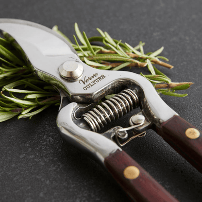 Thai Kitchen & Garden Shears - Hosted by Kelly Gaudreau