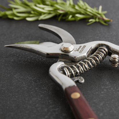 Thai Kitchen & Garden Shears - Hosted by Kelly Gaudreau