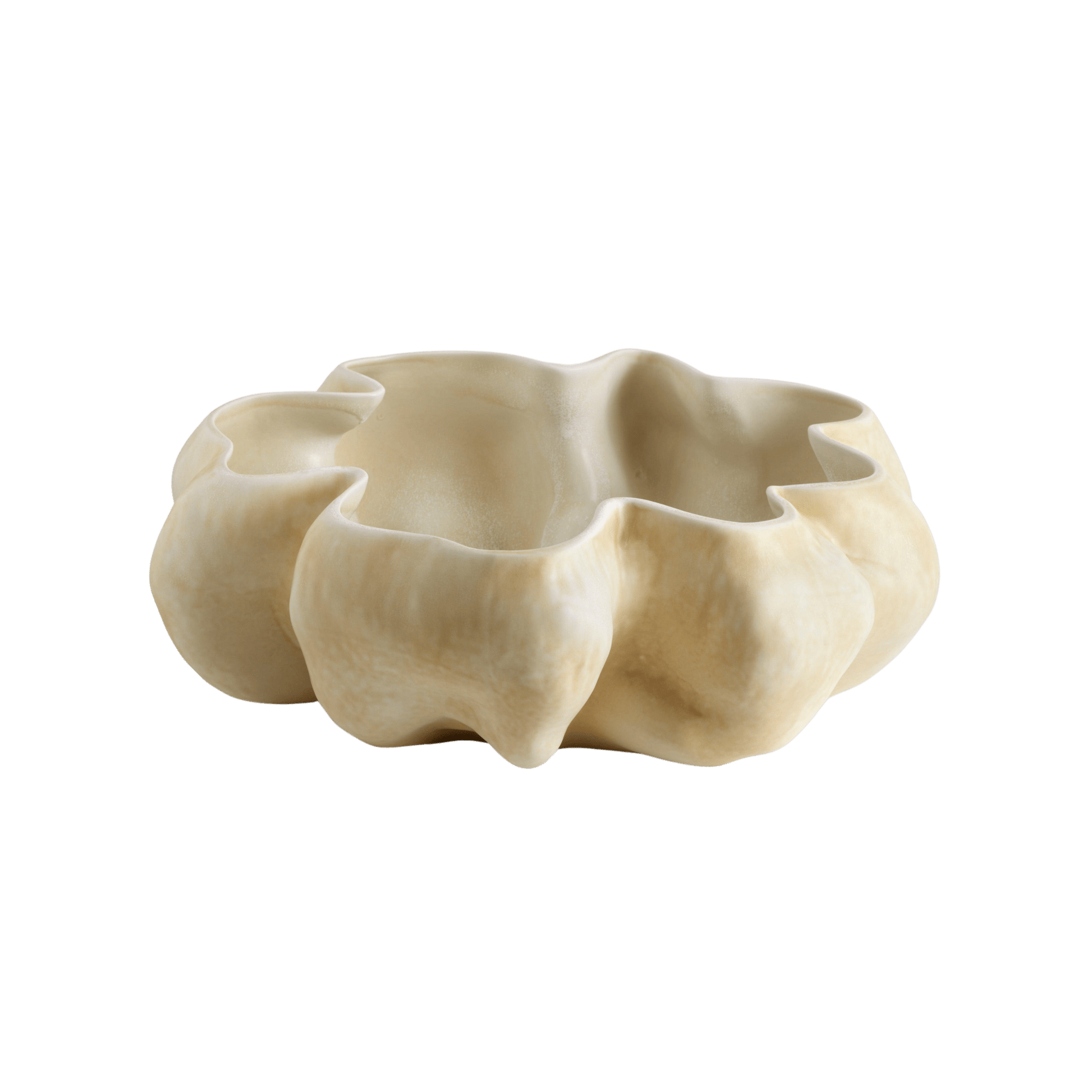 Timna Bowl - Hosted by Kelly Gaudreau