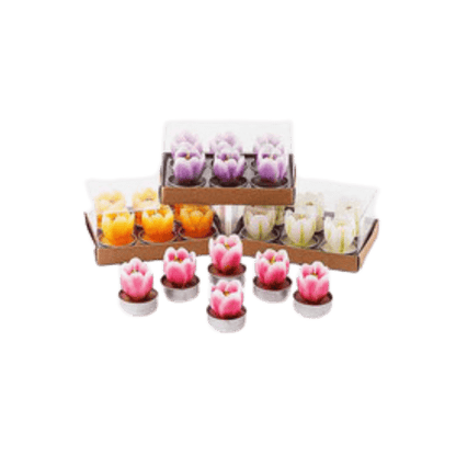 Tulip Tea Lights Set of 6 - Hosted by Kelly Gaudreau
