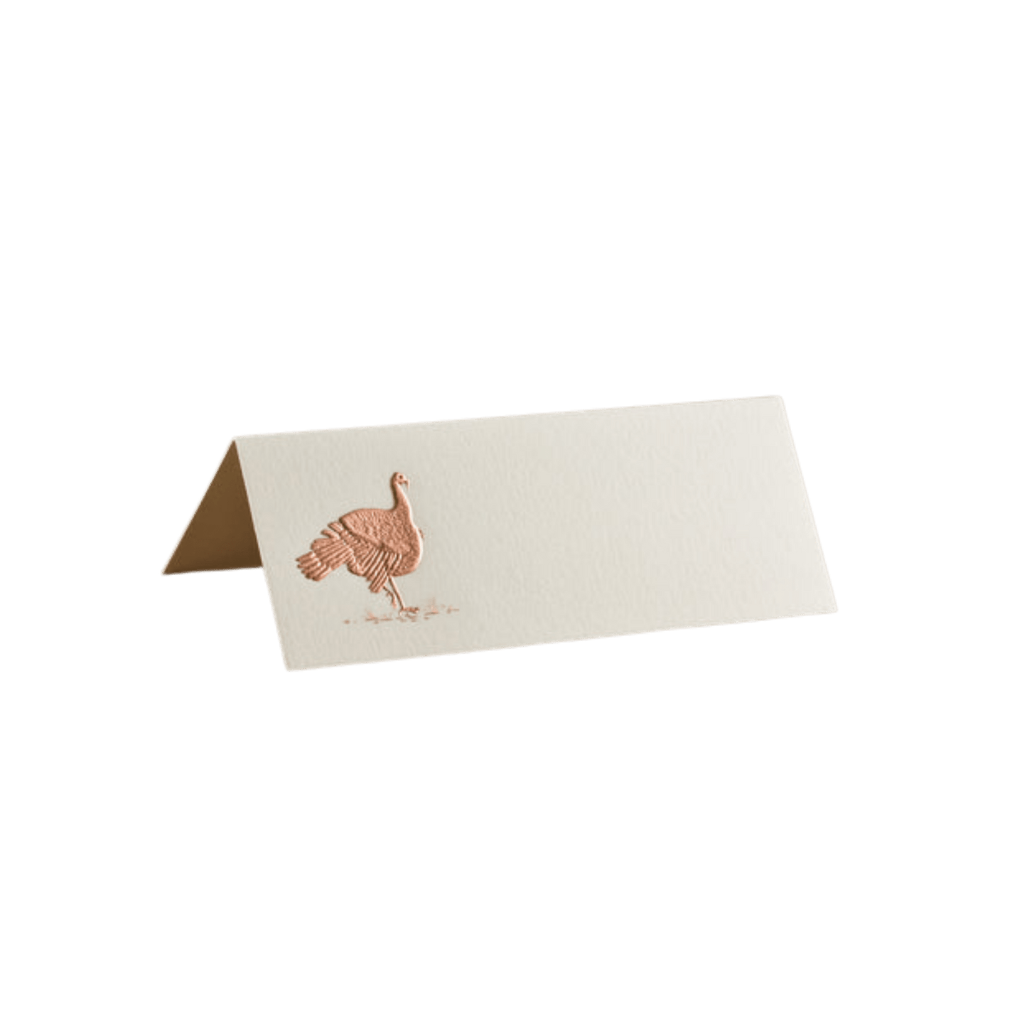 Turkey Place Cards - Hosted by Kelly Gaudreau