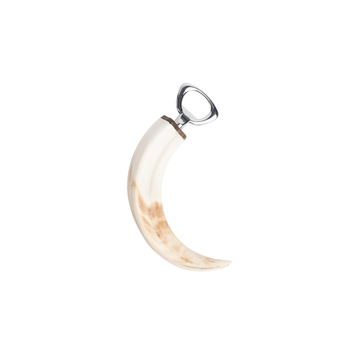 Warthog Tusk Bottle Opener - Hosted by Kelly Gaudreau