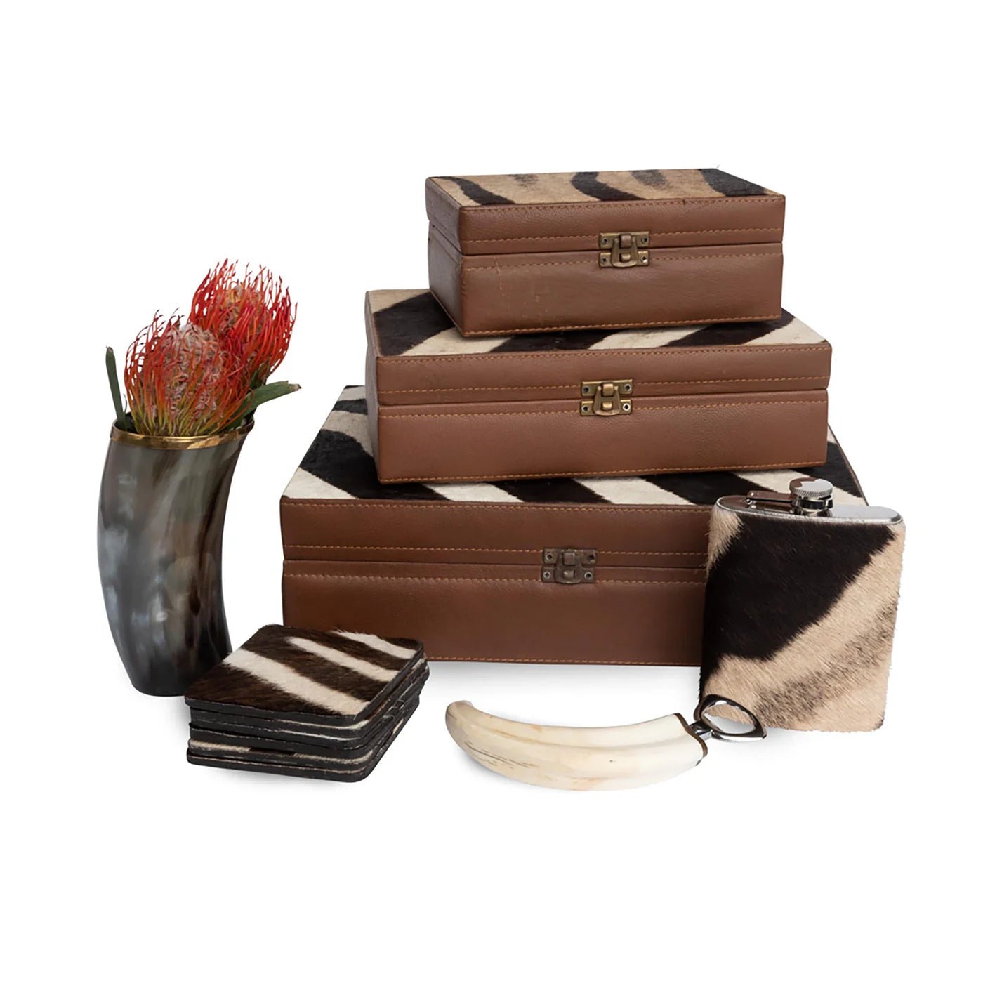 Warthog Tusk Bottle Opener - Hosted by Kelly Gaudreau