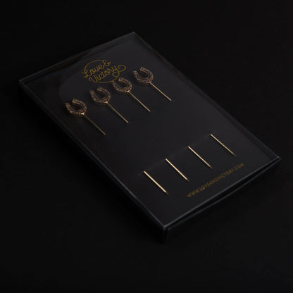 Western Horseshoe Cocktail Picks - Hosted by Kelly Gaudreau